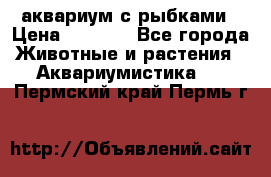 аквариум с рыбками › Цена ­ 1 000 - Все города Животные и растения » Аквариумистика   . Пермский край,Пермь г.